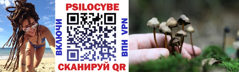 купить наркотик Фатеж MEGA как войти Псилоцибиновые грибы прущие грибы